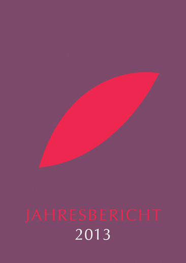 jahresbericht-2013